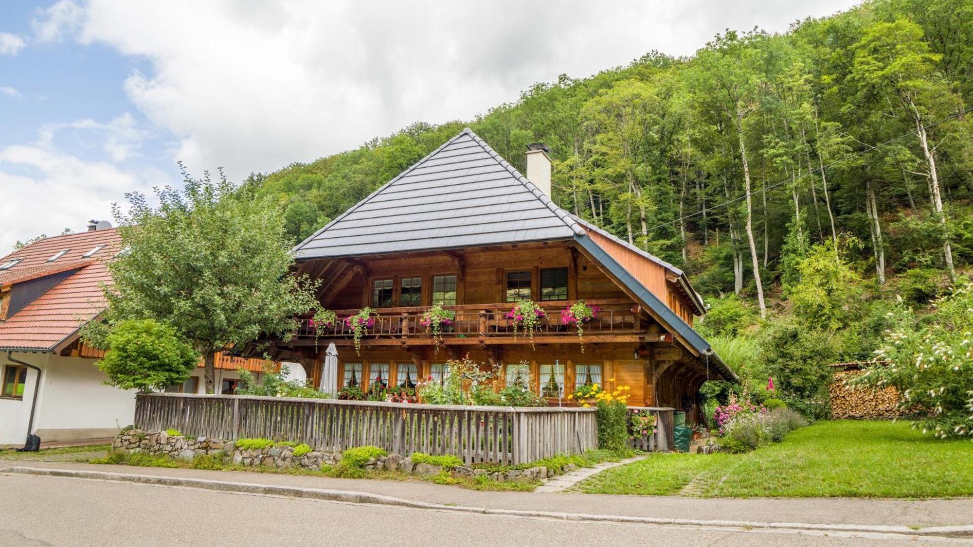 Haus Miriam Apartment Muenstertal Luaran gambar