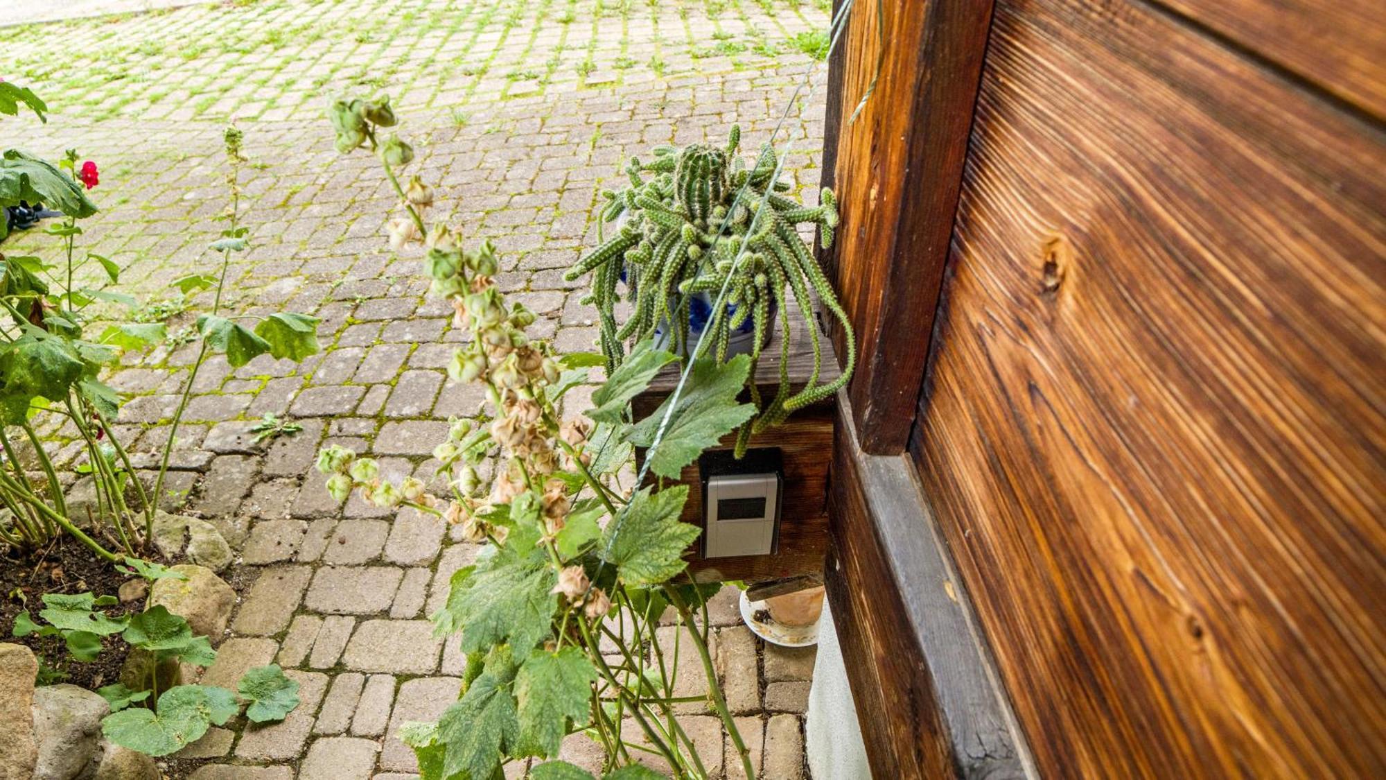 Haus Miriam Apartment Muenstertal Luaran gambar
